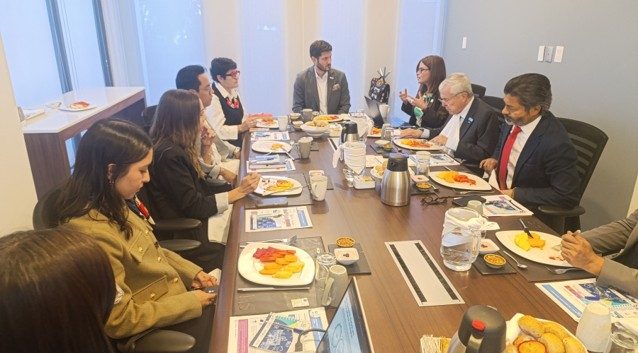 Mesa de trabajo de ARISE M&eacute;xico con representantes empresariales y UNDRR