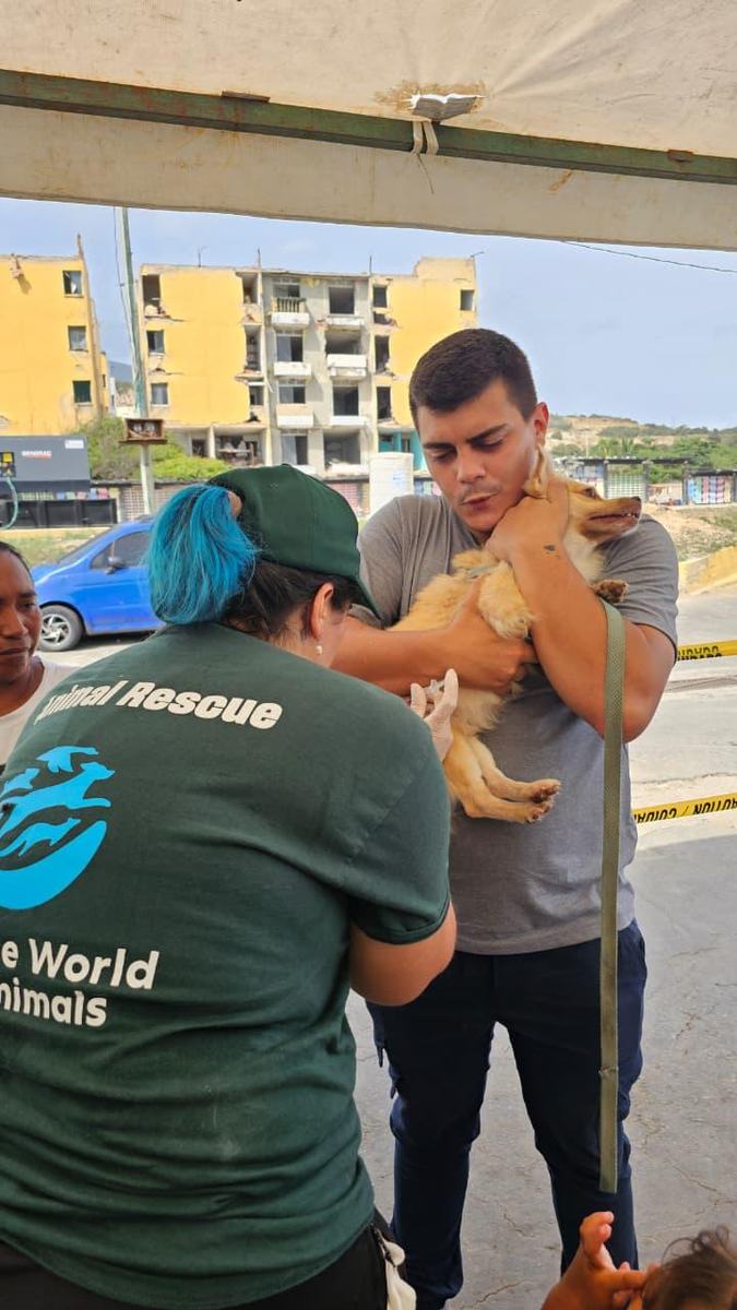 Integrante del equipo de rescate de Humane World for Animals atiende a un perro junto a su tutor